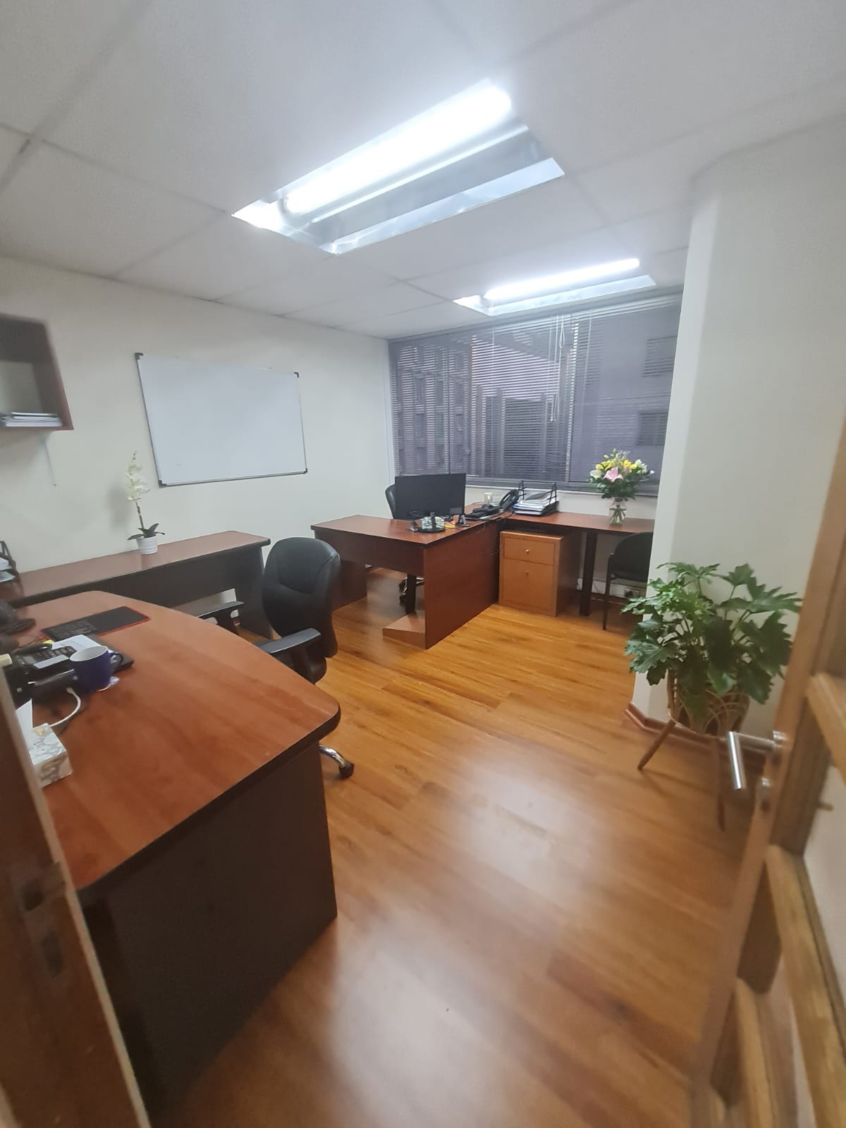 Oficina de 538 m² en Huérfanos 669, Santiago, foto 10 de 13